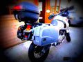 Kawasaki KLE 500 1997 6 motorbike A4 Photo Print