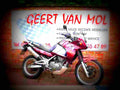 Kawasaki KLE 500 2000 5 motorbike A4 Photo Print