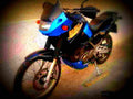 Kawasaki KLE 500 2001 4 motorbike A4 Photo Print