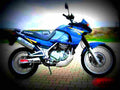 Kawasaki KLE 500 2001 5 motorbike A4 Photo Print