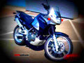 Kawasaki KLE 500 2004 1 motorbike A4 Photo Print
