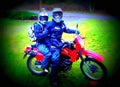 Kawasaki KLR 250 1985 4 motorbike A4 Photo Print