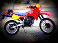 Kawasaki KLR 250 1985 5 motorbike A4 Photo Print