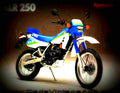 Kawasaki KLR 250 1989 5 motorbike A4 Photo Print