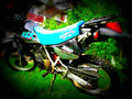 Kawasaki KLR 250 1991 1 motorbike A4 Photo Print