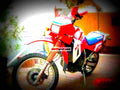 Kawasaki KLR 600 E 1988 3 motorbike A4 Photo Print