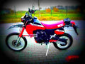 Kawasaki KLR 600 E 1989 1 motorbike A4 Photo Print