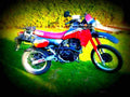 Kawasaki KLR 600 E 1989 2 motorbike A4 Photo Print