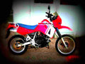 Kawasaki KLR 650 1987 2 motorbike A4 Photo Print