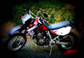 Kawasaki KLR 650 1995 1 motorbike A4 Photo Print