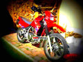 Kawasaki KLR 650 1996 1 motorbike A4 Photo Print