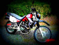 Kawasaki KLR 650 1998 2 motorbike A4 Photo Print