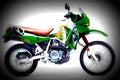 Kawasaki KLR 650 2002 1 motorbike A4 Photo Print