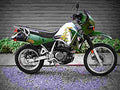 Kawasaki KLR 650 2002 2 motorbike A4 Photo Print