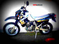 Kawasaki KLR 650 2004 2 motorbike A4 Photo Print