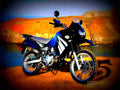 Kawasaki KLR 650 2009 3 motorbike A4 Photo Print