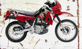 Kawasaki KLR650 2004 Aged Vintage A4 Photo Print