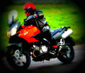 Kawasaki KLV 1000 2004 5 motorbike A4 Photo Print