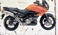 Kawasaki KLV1000 2004 Aged Vintage A4 Photo Print