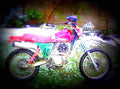 Kawasaki KLX 250 1982 2 motorbike A4 Photo Print