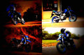 Kawasaki KLX 250 SF KLX 250 SF 5 motorbike A4 Photo Print