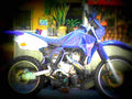 Kawasaki KMX 125 1987 4 motorbike A4 Photo Print