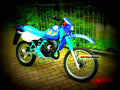 Kawasaki KMX 125 1998 6 motorbike A4 Photo Print