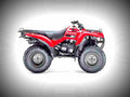 Kawasaki KVF 360 KVF 360 2x4 4 motorbike A4 Photo Print