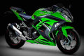 Kawasaki Ninja 300 Ninja 300 2 motorbike A4 Photo Print