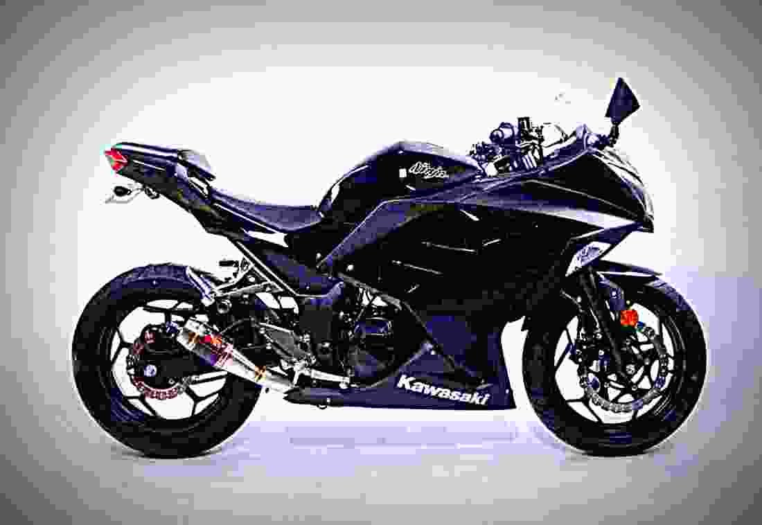 Kawasaki Ninja 300 Performance 2017 1 motorbike A4 Photo Print