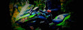 Kawasaki Ninja 650 KRT Edition 2017 1 780x284 motorbike A4 Photo Print