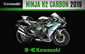 Kawasaki Ninja H2 Carbon 2019 2 motorbike A4 Photo Print