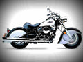 Kawasaki VN 800 Classic 2001 2 motorbike A4 Photo Print
