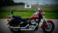 Kawasaki VN 800 Vulcan 1999 3 motorbike A4 Photo Print