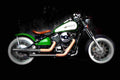 Kawasaki VN 800 Vulcan 2000 4 motorbike A4 Photo Print