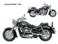Kawasaki VN1600 2003 motorbike A4 Photo Print