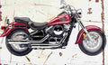 Kawasaki VN800 Classic 2003 Aged Vintage A4 Photo Print