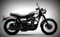 Kawasaki W800 Special Edition 2017 4 motorbike A4 Photo Print