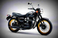 Kawasaki W800 W800 6 motorbike A4 Photo Print