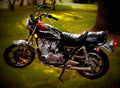 Kawasaki Z 450 LTD 1988 2 motorbike A4 Photo Print