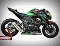 Kawasaki Z 800 Z 800 2 motorbike A4 Photo Print
