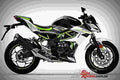 Kawasaki Z125 2019 1 motorbike A4 Photo Print
