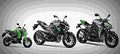 Kawasaki Z125 Pro 2017 4 motorbike A4 Photo Print
