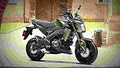 Kawasaki Z125 Pro 2018 2 motorbike A4 Photo Print
