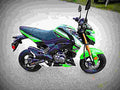 Kawasaki Z125 Pro KRT Edition 2017 3 motorbike A4 Photo Print