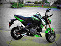 Kawasaki Z125 Pro KRT Edition 2018 4 motorbike A4 Photo Print