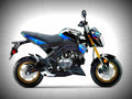 Kawasaki Z125 Pro SE 2018 1 motorbike A4 Photo Print