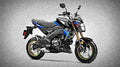 Kawasaki Z125 Pro SE 2018 3 motorbike A4 Photo Print