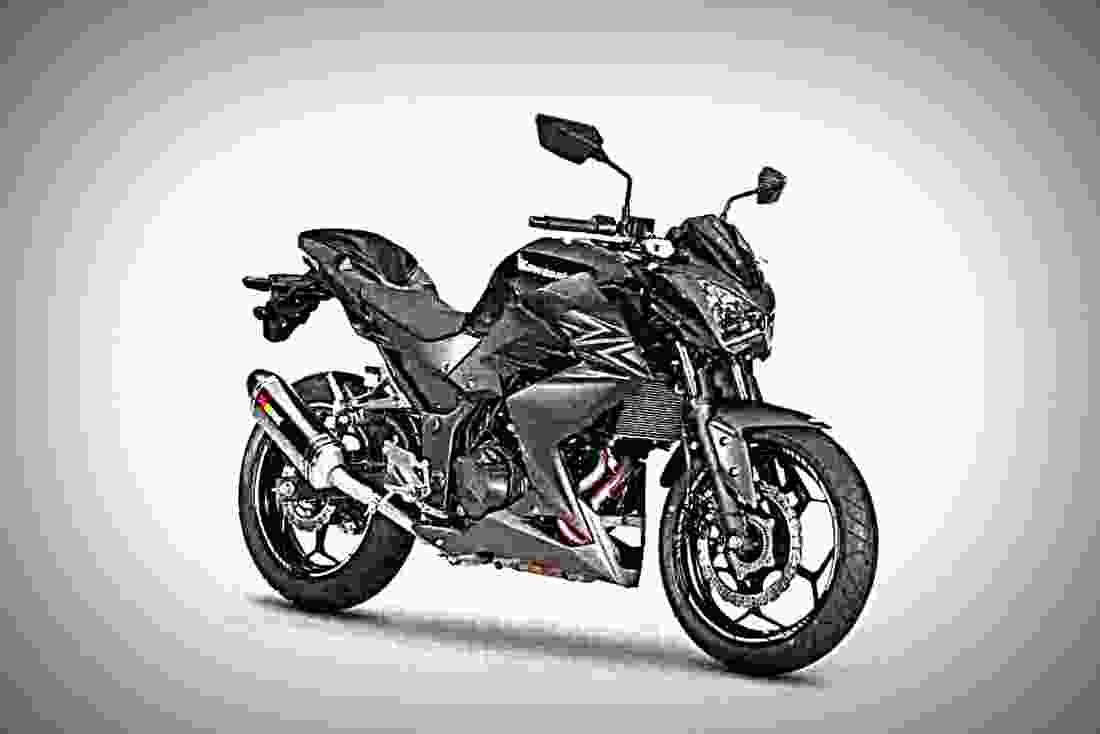 Kawasaki Z300 Performance 2017 1 motorbike A4 Photo Print