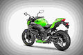 Kawasaki Z300 Performance 2017 2 motorbike A4 Photo Print
